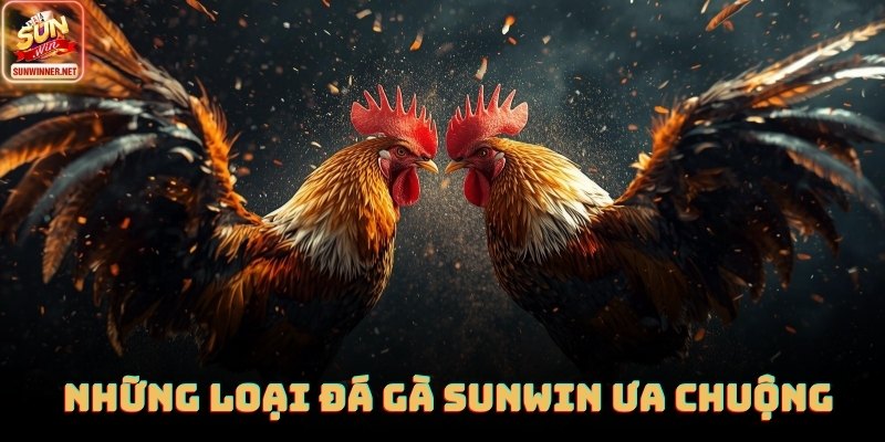 3 đối tác hợp tác hàng đầu của đá gà tại Sunwin trong năm 2026